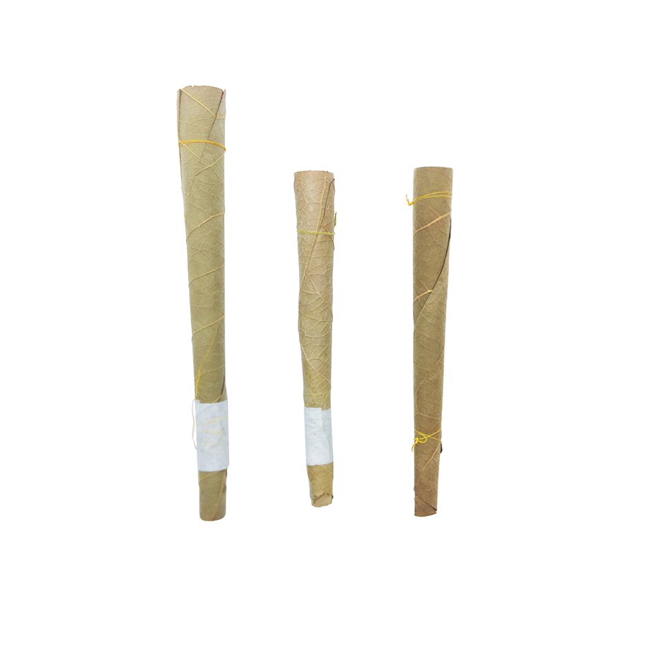 BIOROLL GRAPE TUBES KING FILTERED (5 CONES) - Image 2