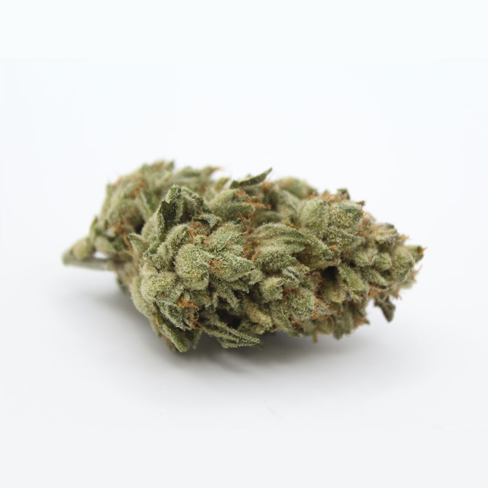 Hazelnut Cream (28 Grams) - Image 3