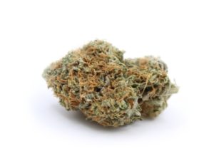 Montreal weed deals online