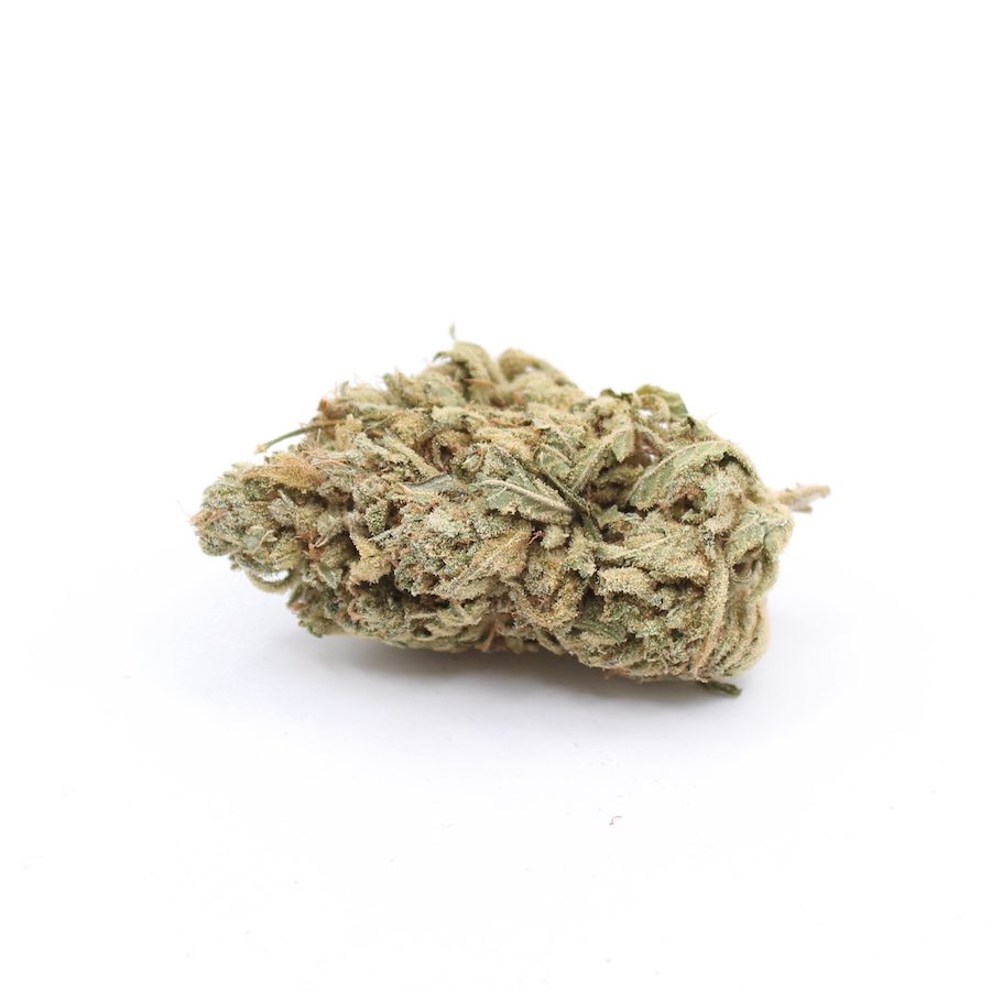 Hash Plant (28 Grams) - Image 2