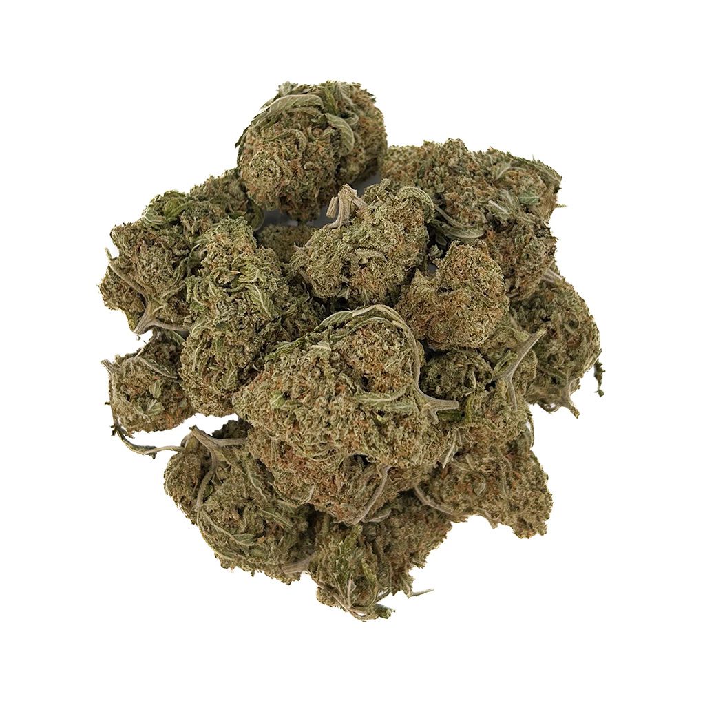 Jack Herer - 28 Grams - Image 2