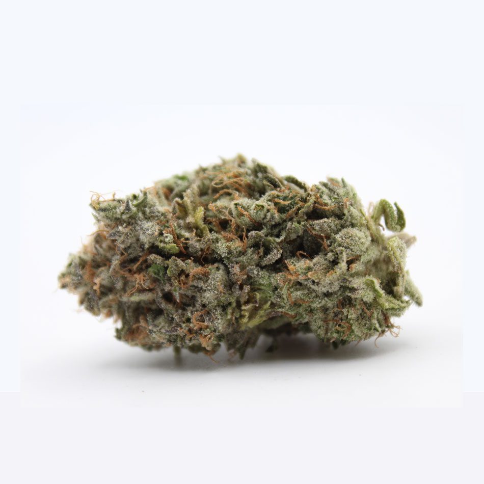 Bluefin Tuna indica weed for sale